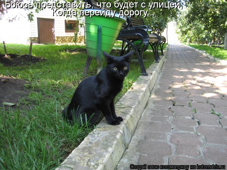 Боюсь представить, что будет с улицей, Когда перейду дорогу...... Котоматрица: Боюсь представить, что будет с улицей, Когда перейду дорогу...