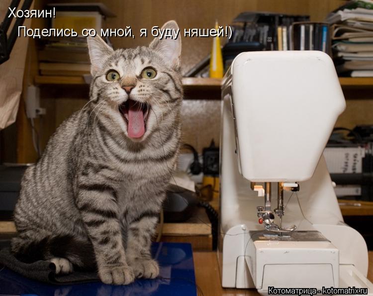 Хозяин! Поделись со мной, я буду няшей!)... Котоматрица: Хозяин! Поделись со мной, я буду няшей!)