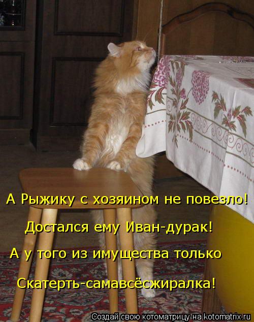 А Рыжику с хозяином не повезло! Достался ему Иван-дурак! А у того из имущества только Скатерть-самав... Котоматрица: А Рыжику с хозяином не повезло! Достался ему Иван-дурак! А у того из имущества только Скатерть-самавсёсжиралка!