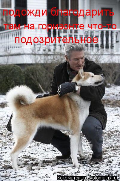 подожди благодарить там на горизонте что-то подозрительное... Котоматрица: подожди благодарить там на горизонте что-то подозрительное