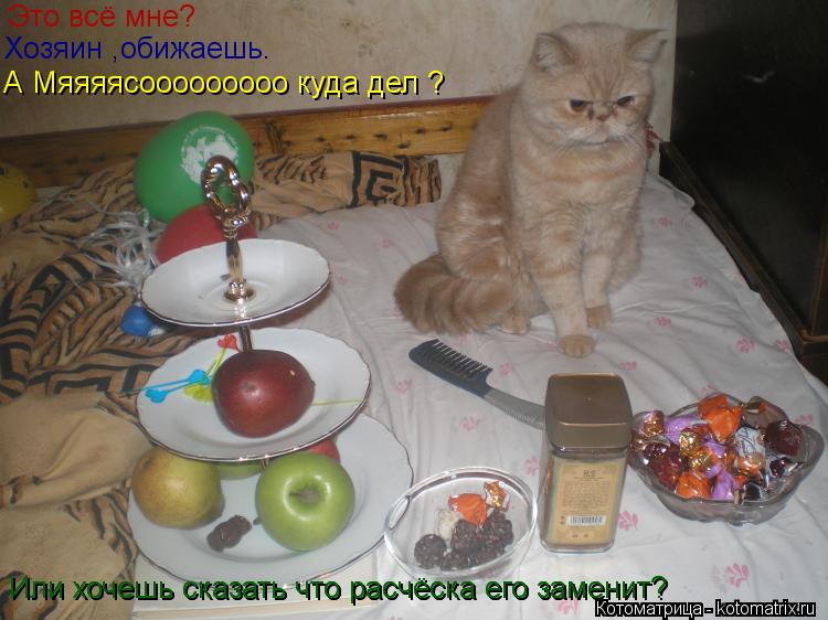 Это всё мне? Хозяин ,обижаешь. А Мяяяясооооооооо куда дел ? Или хочешь сказать что расчёска его замен... Котоматрица: Это всё мне? Хозяин ,обижаешь. А Мяяяясооооооооо куда дел ? Или хочешь сказать что расчёска его заменит? Или хочешь сказать что расчёска его