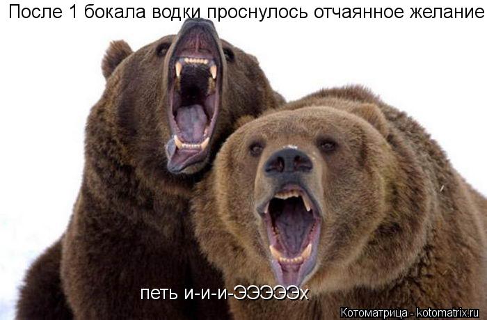 После 1 бокала водки проснулось отчаянное желание петь петь и-и-и-ЭЭЭЭЭх... Котоматрица: После 1 бокала водки проснулось отчаянное желание петь петь и-и-и-ЭЭЭЭЭх