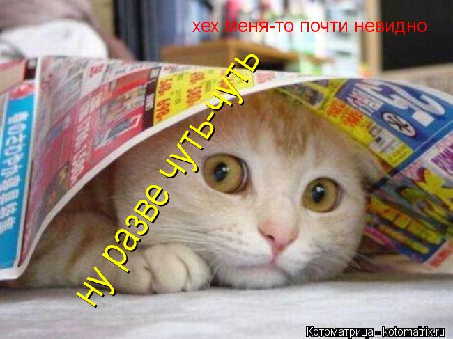 хех меня-то почти невидно хех меня-то почти невидно ну разве чуть-чуть ну разве чуть-чуть... Котоматрица: хех меня-то почти невидно хех меня-то почти невидно ну разве чуть-чуть ну разве чуть-чуть