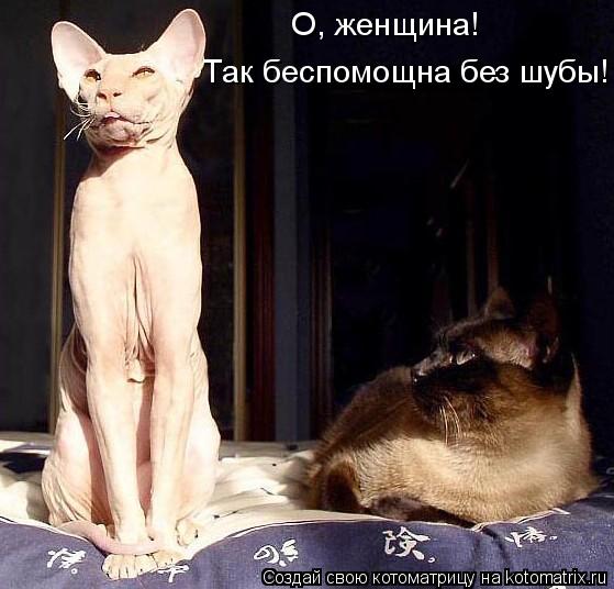 О, женщина! Так беспомощна без шубы!... Котоматрица: О, женщина! Так беспомощна без шубы!