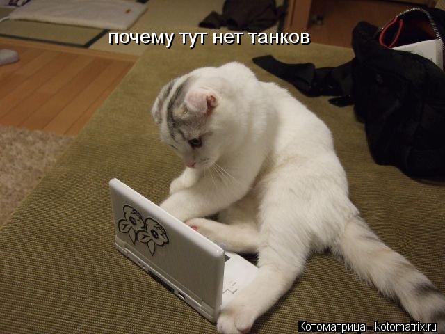 почему тут нет танков... Котоматрица: почему тут нет танков