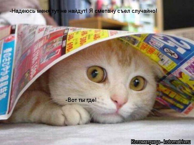 -Надеюсь меня тут не найдут! Я сметану съел случайно! -Вот ты где!... Котоматрица: -Надеюсь меня тут не найдут! Я сметану съел случайно! -Вот ты где!
