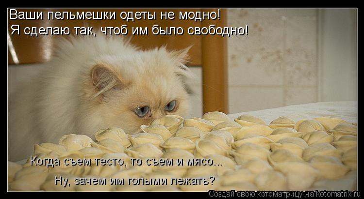 Ваши пельмешки одеты не модно! Я сделаю так, чтоб им было свободно! Когда съем тесто, то съем и мясо.... Котоматрица: Ваши пельмешки одеты не модно! Я сделаю так, чтоб им было свободно! Когда съем тесто, то съем и мясо... Ну, зачем им голыми лежать?