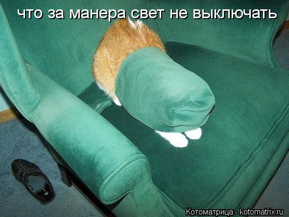 что за манера свет не выключать... Котоматрица: что за манера свет не выключать