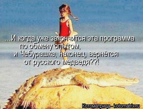 ...И когда уже закончится эта программа по обмену опытом, и Чебурашка, наконец, вернётся от русского... Котоматрица: ...И когда уже закончится эта программа по обмену опытом, и Чебурашка, наконец, вернётся от русского медведя??!