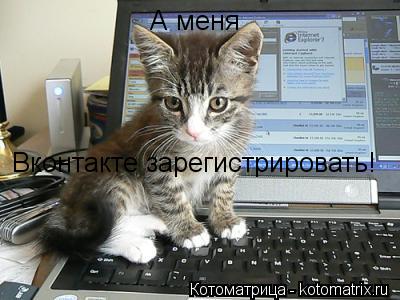 А меня Вконтакте зарегистрировать!... Котоматрица: А меня Вконтакте зарегистрировать!