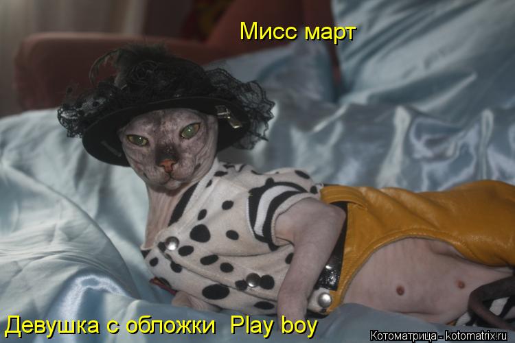 Девушка с обложки Play boy Мисс март... Котоматрица: Девушка с обложки Play boy Мисс март