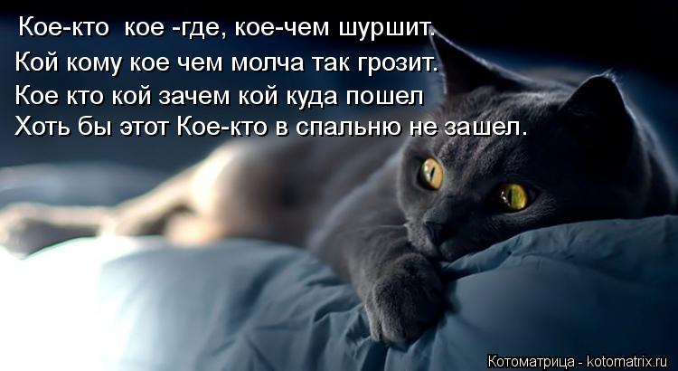 Кой кому кое чем молча так грозит. Кое-кто кое -где, кое-чем шуршит. Кое кто кой зачем кой куда пош... Котоматрица: Кой кому кое чем молча так грозит. Кое-кто кое -где, кое-чем шуршит. Кое кто кой зачем кой куда пошел Хоть бы этот Кое-кто в спальню не зашел.