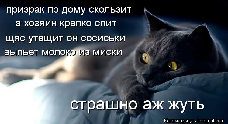 призрак по дому скользит а хозяин крепко спит щяс утащит он сосиськи выпьет молоко из миски страшно а... Котоматрица: призрак по дому скользит а хозяин крепко спит щяс утащит он сосиськи выпьет молоко из миски страшно аж жуть