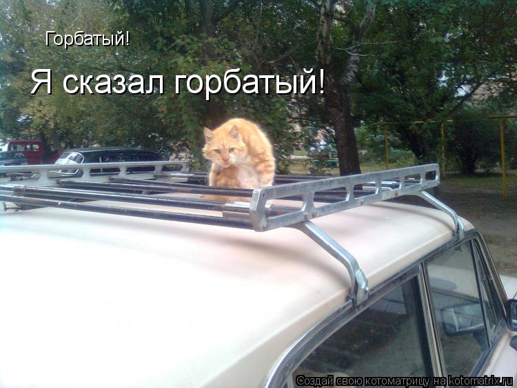 Горбатый! Я сказал горбатый!... Котоматрица: Горбатый! Я сказал горбатый!