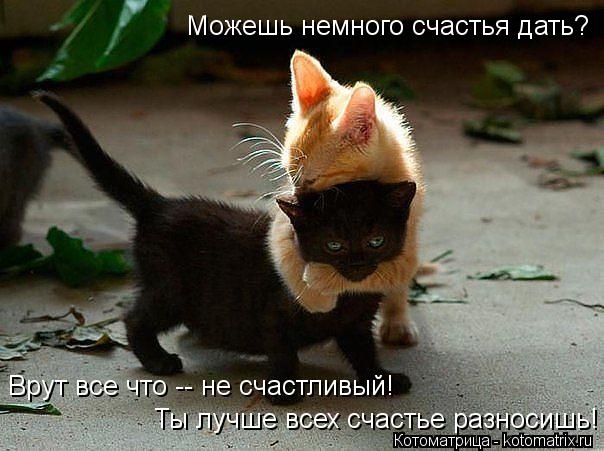 Можешь немного счастья дать? Врут все что -- не счастливый! Ты лучше всех счастье разносишь!... Котоматрица: Можешь немного счастья дать? Врут все что -- не счастливый! Ты лучше всех счастье разносишь!