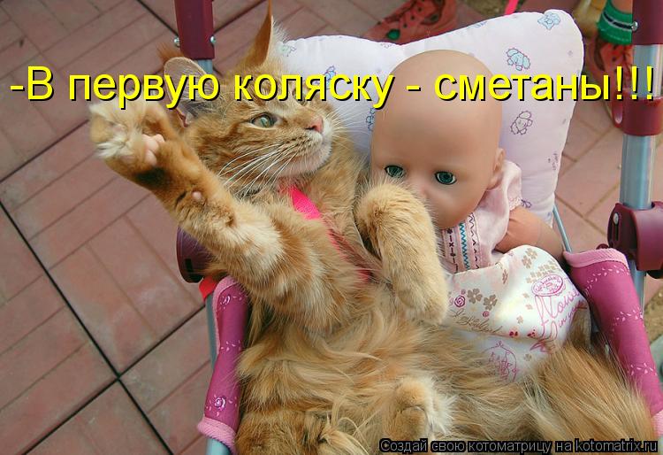 -В первую коляску - сметаны!!!... Котоматрица: -В первую коляску - сметаны!!!