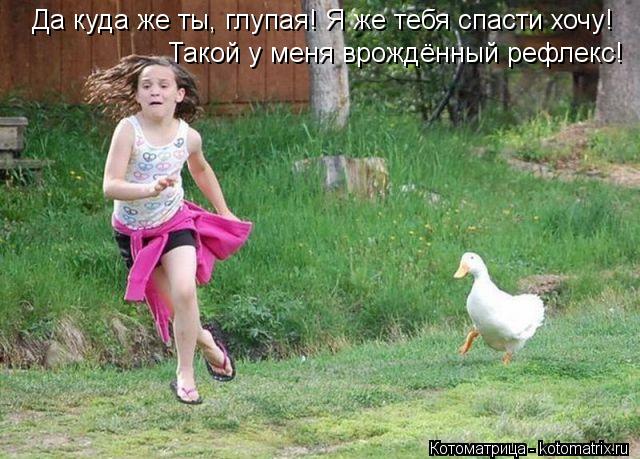 Да куда же ты, глупая! Я же тебя спасти хочу! Такой у меня врождённый рефлекс!... Котоматрица: Да куда же ты, глупая! Я же тебя спасти хочу! Такой у меня врождённый рефлекс!