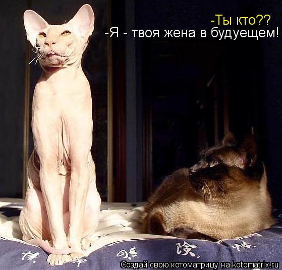 -Ты кто?? -Я - твоя жена в будуещем!... Котоматрица: -Ты кто?? -Я - твоя жена в будуещем!