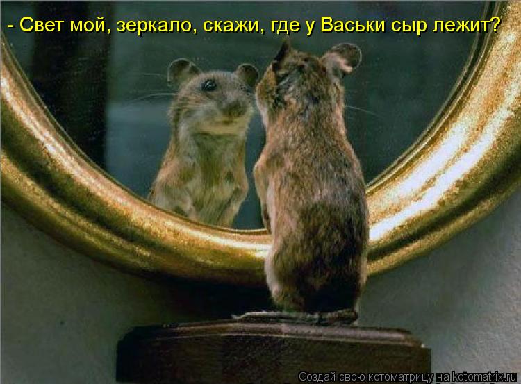 Котоматрица: - Свет мой, зеркало, скажи, где у Васьки сыр лежит?