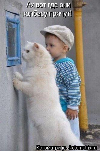 Ах вот где они колбасу прячут! колбасу прячут!... Котоматрица: Ах вот где они колбасу прячут! колбасу прячут!