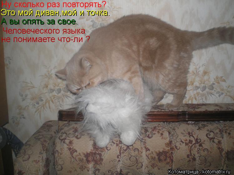 Ну сколько раз повторять? Это мой диван,мой и точка. А вы опять за свое. Человеческого языка не пони... Котоматрица: Ну сколько раз повторять? Это мой диван,мой и точка. А вы опять за свое. Человеческого языка не понимаете что-ли ?