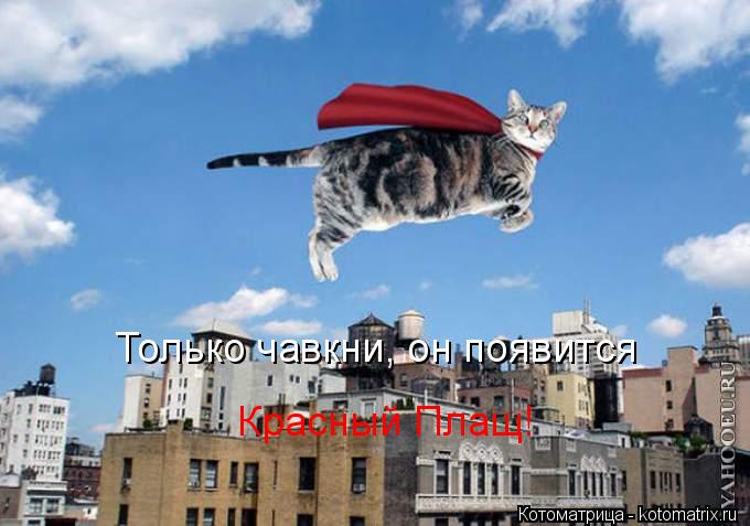 Только чавкни, он появится Красный Плащ!... Котоматрица: Только чавкни, он появится Красный Плащ!