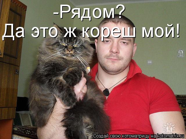 -Рядом? Да это ж кореш мой!... Котоматрица: -Рядом? Да это ж кореш мой!