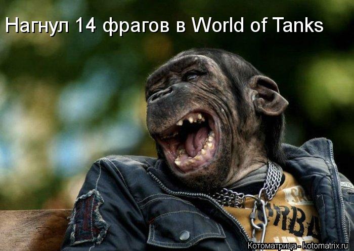 Нагнул 14 фрагов в World of Tanks... Котоматрица: Нагнул 14 фрагов в World of Tanks