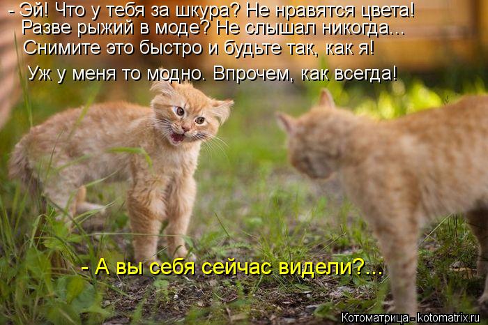 - Эй! Что у тебя за шкура? Не нравятся цвета! Разве рыжий в моде? Не слышал никогда... Снимите это бы... Котоматрица: - Эй! Что у тебя за шкура? Не нравятся цвета! Разве рыжий в моде? Не слышал никогда... Снимите это быстро и будьте так, как я! Уж у меня то модно. В