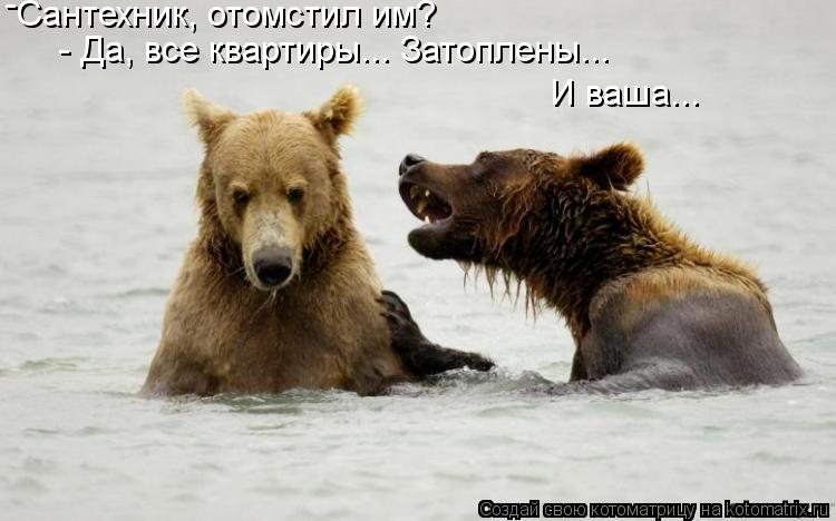 Сантехник, отомстил им? - - Да, все квартиры... Затоплены... И ваша...... Котоматрица: Сантехник, отомстил им? - - Да, все квартиры... Затоплены... И ваша...