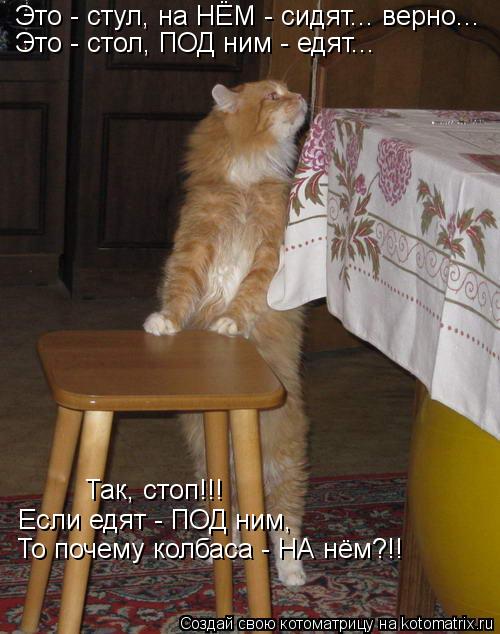 Это - стул, на НЁМ - сидят... верно... Это - стол, ПОД ним - едят... Так, стоп!!! Если едят - ПОД ним... Котоматрица: Это - стул, на НЁМ - сидят... верно... Это - стол, ПОД ним - едят... Так, стоп!!! Если едят - ПОД ним, То почему колбаса - НА нём?!!