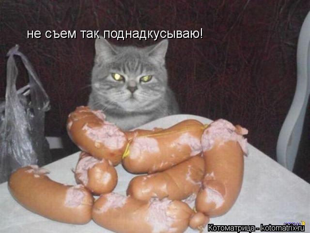 не съем так поднадкусываю!... Котоматрица: не съем так поднадкусываю!