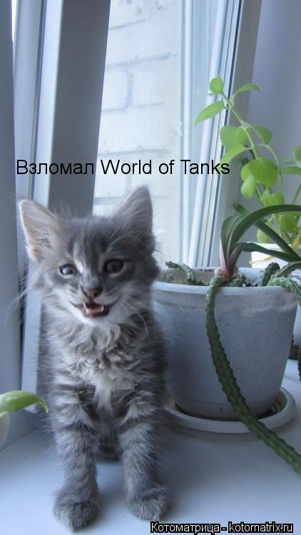 Взломал World of Tanks... Котоматрица: Взломал World of Tanks