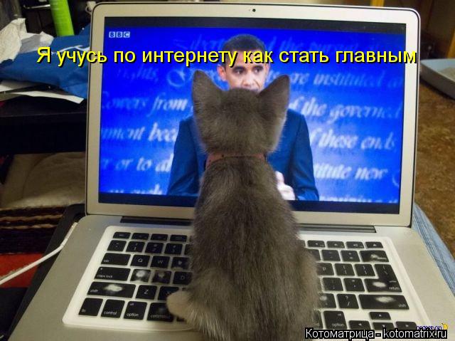 Я учусь по интернету как стать главным... Котоматрица: Я учусь по интернету как стать главным