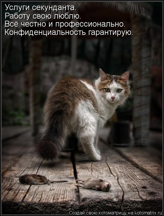 Услуги секунданта. Работу свою люблю. Всё честно и профессионально. Конфиденциальность гарантирую.... Котоматрица: Услуги секунданта. Работу свою люблю. Всё честно и профессионально. Конфиденциальность гарантирую.