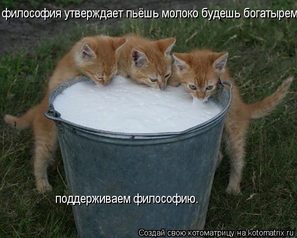 философия утверждает пьёшь молоко будешь богатырем,Поддерживаем философию поддерживаем философию.... Котоматрица: философия утверждает пьёшь молоко будешь богатырем,Поддерживаем философию поддерживаем философию.
