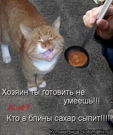 Хозяин ты готовить не умеешь!!! А чё? Кто в блины сахар сыпит!!!!!!!!!... Котоматрица: Хозяин ты готовить не умеешь!!! А чё? Кто в блины сахар сыпит!!!!!!!!!