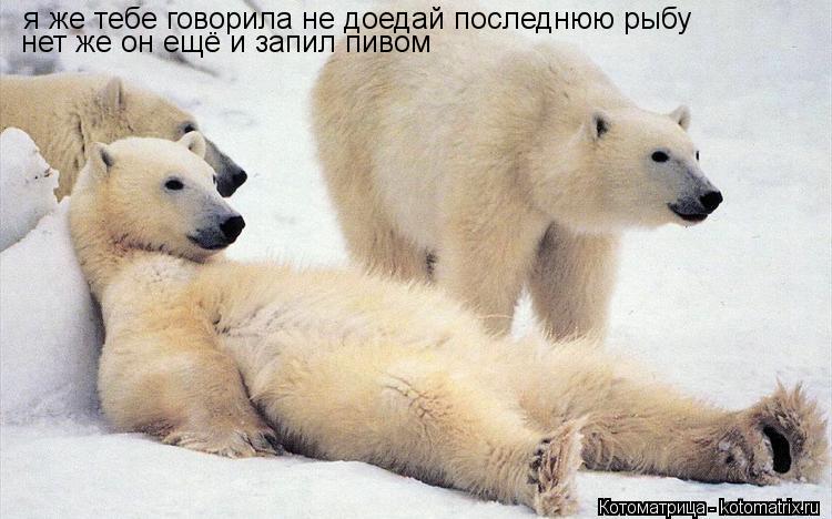 я же тебе говорила не доедай последнюю рыбу нет же он ещё и запил пивом... Котоматрица: я же тебе говорила не доедай последнюю рыбу нет же он ещё и запил пивом
