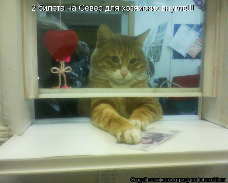 2 билета на Север для хозяйских внуков!!!... Котоматрица: 2 билета на Север для хозяйских внуков!!!
