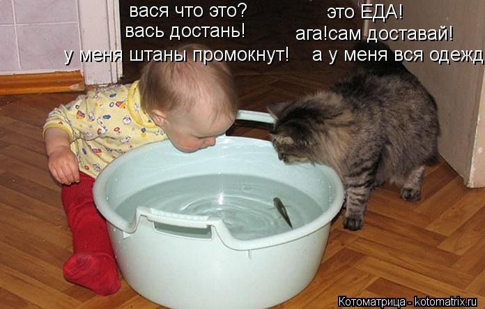 вася что это? вась достань! это ЕДА! ага!сам доставай! у меня штаны промокнут! а у меня вся одежда... Котоматрица: вася что это? вась достань! это ЕДА! ага!сам доставай! у меня штаны промокнут! а у меня вся одежда!