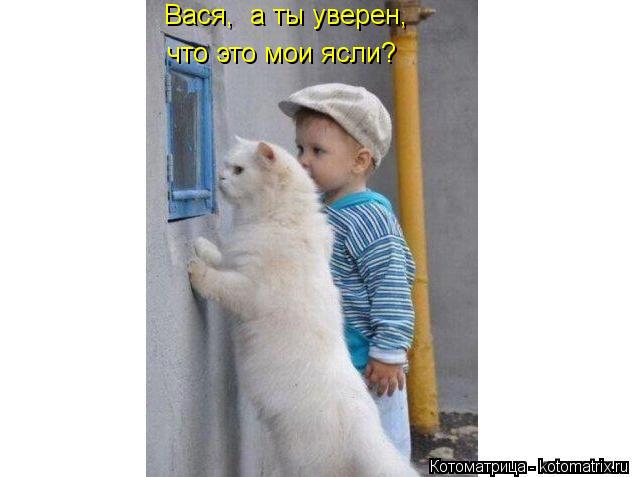 Вася, а ты уверен, что это мои ясли?... Котоматрица: Вася, а ты уверен, что это мои ясли?