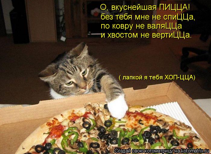 О, вкуснейшая ПИЦЦА! без тебя мне не спиЦЦа, по ковру не валяЦЦа и хвостом не вертиЦЦа. ( лапкой я те... Котоматрица: О, вкуснейшая ПИЦЦА! без тебя мне не спиЦЦа, по ковру не валяЦЦа и хвостом не вертиЦЦа. ( лапкой я тебя ХОП-ЦЦА)