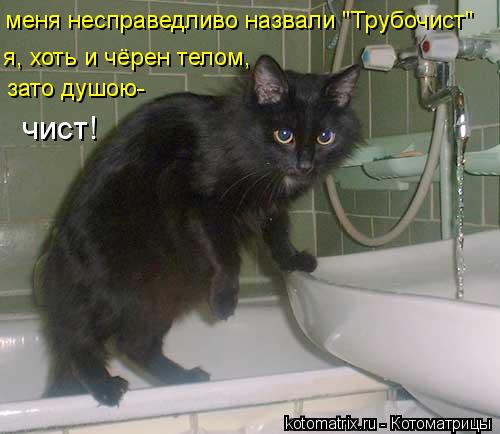 меня несправедливо назвали "Трубочист" зато душою- чист! я, хоть и чёрен телом,... Котоматрица: меня несправедливо назвали "Трубочист" зато душою- чист! я, хоть и чёрен телом,