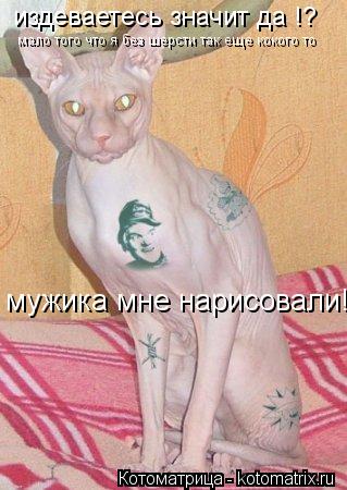 издеваетесь значит да !? мало того что я без шерсти так еще кокого то мужика мне нарисовали!... Котоматрица: издеваетесь значит да !? мало того что я без шерсти так еще кокого то мужика мне нарисовали!