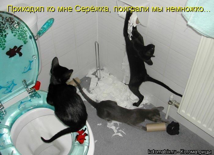 Приходил ко мне Серёжка, поиграли мы немножко...... Котоматрица: Приходил ко мне Серёжка, поиграли мы немножко...