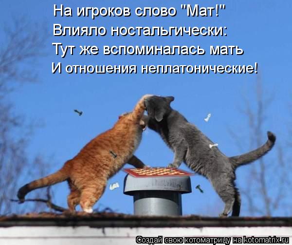 На игроков слово "Мат!" Влияло ностальгически: Тут же вспоминалась мать И отношения неплатонические... Котоматрица: На игроков слово "Мат!" Влияло ностальгически: Тут же вспоминалась мать И отношения неплатонические!