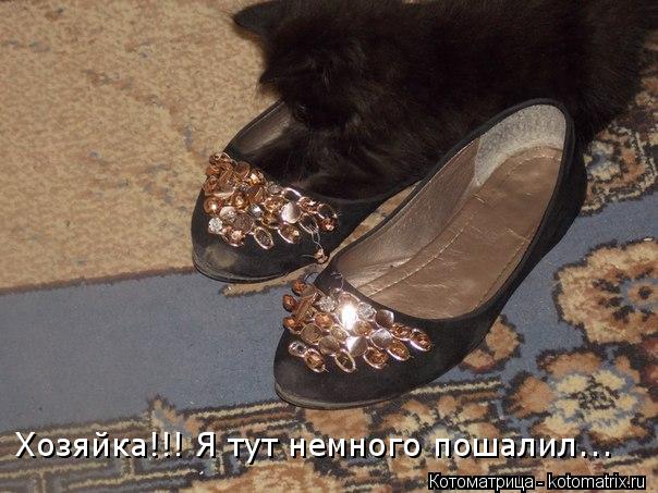 Хозяйка!!! Я тут немного пошалил...... Котоматрица: Хозяйка!!! Я тут немного пошалил...
