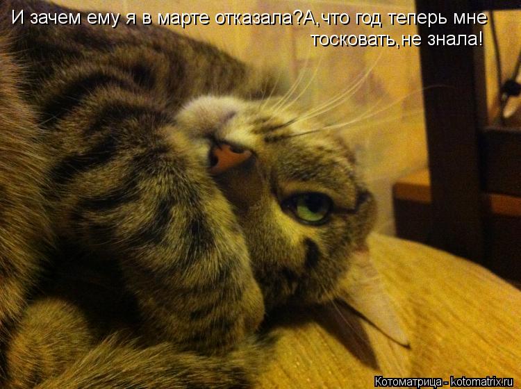 И зачем ему я в марте отказала?А,что год теперь мне тосковать,не знала!... Котоматрица: И зачем ему я в марте отказала?А,что год теперь мне тосковать,не знала!