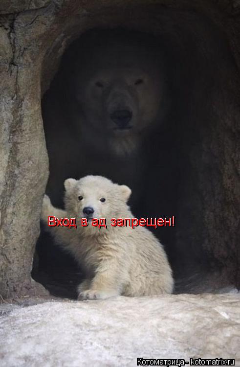 Вход в ад запрещен! Вход в ад запрещен! Вход в ад запрещен!... Котоматрица: Вход в ад запрещен! Вход в ад запрещен! Вход в ад запрещен!
