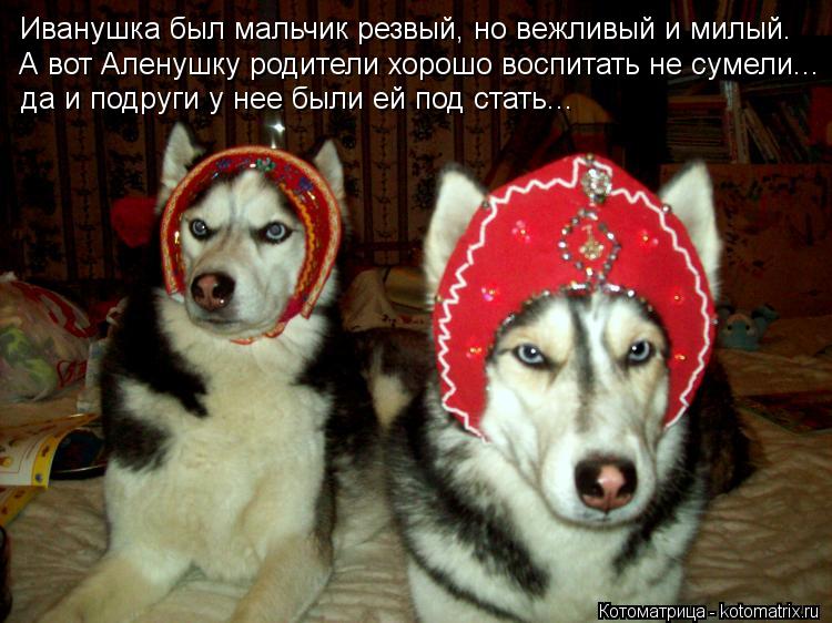 Иванушка был мальчик резвый, но вежливый и милый. А вот Аленушку родители хорошо воспитать не сумели.... Котоматрица: Иванушка был мальчик резвый, но вежливый и милый. А вот Аленушку родители хорошо воспитать не сумели... да и подруги у нее были ей под стать...
